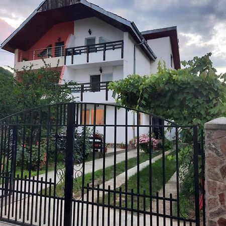 Appartement Casa Lica à Căciulata Extérieur photo
