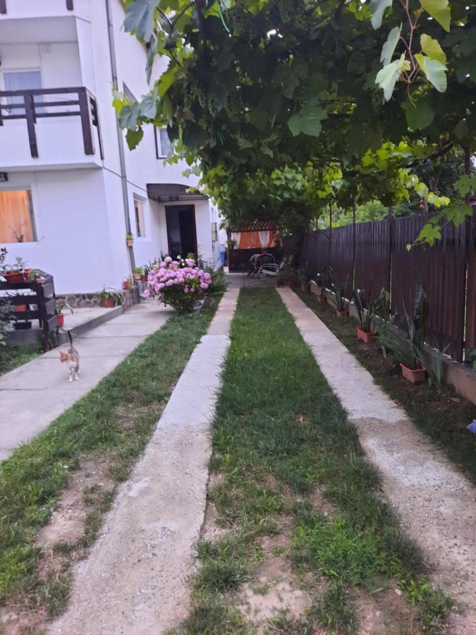 Appartement Casa Lica à Căciulata Extérieur photo
