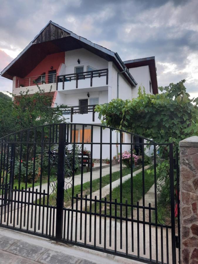 Appartement Casa Lica à Căciulata Extérieur photo