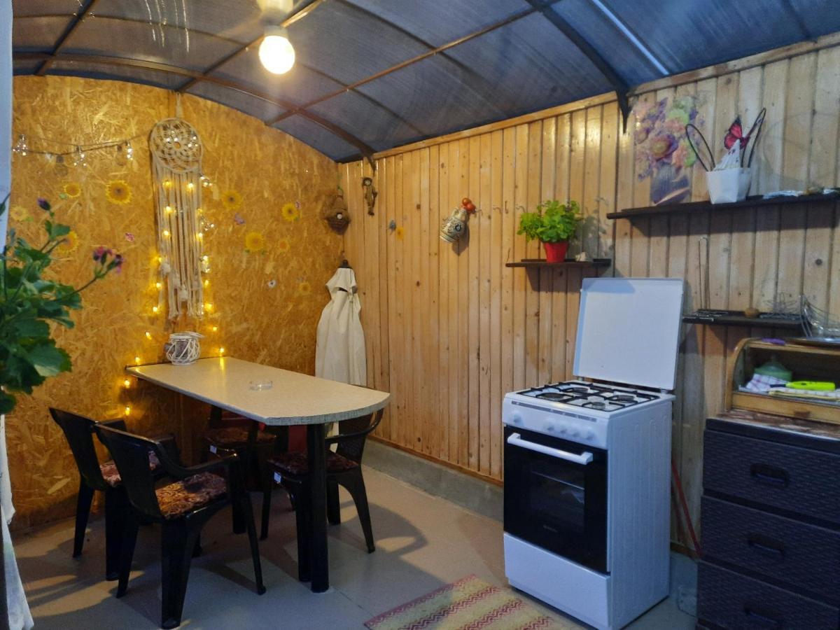 Appartement Casa Lica à Căciulata Extérieur photo